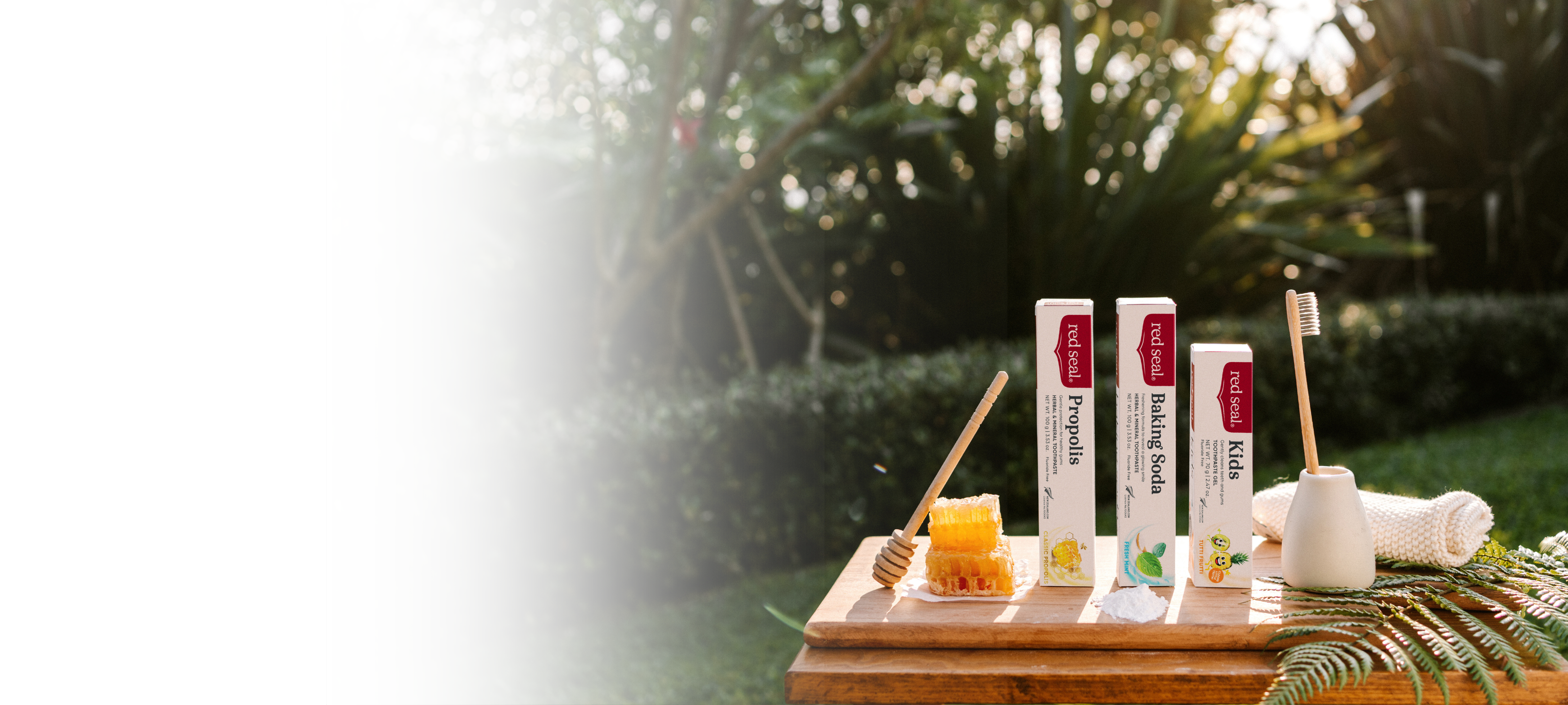 NATRUE Certified: Natural toothpaste slide image