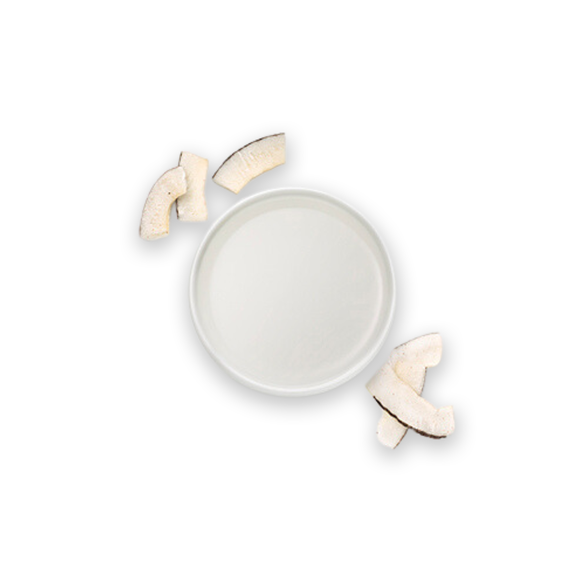 Capric Glycerides​