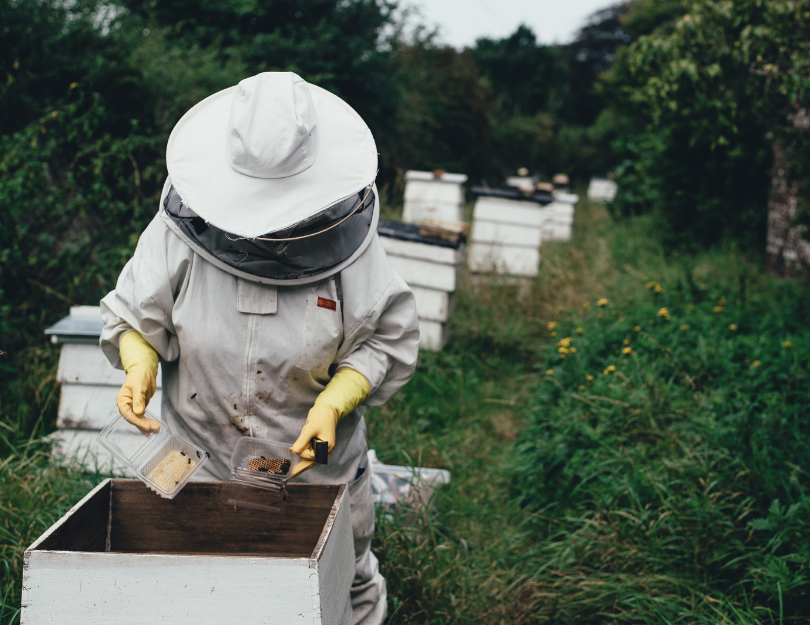 Trusted Quality hero image