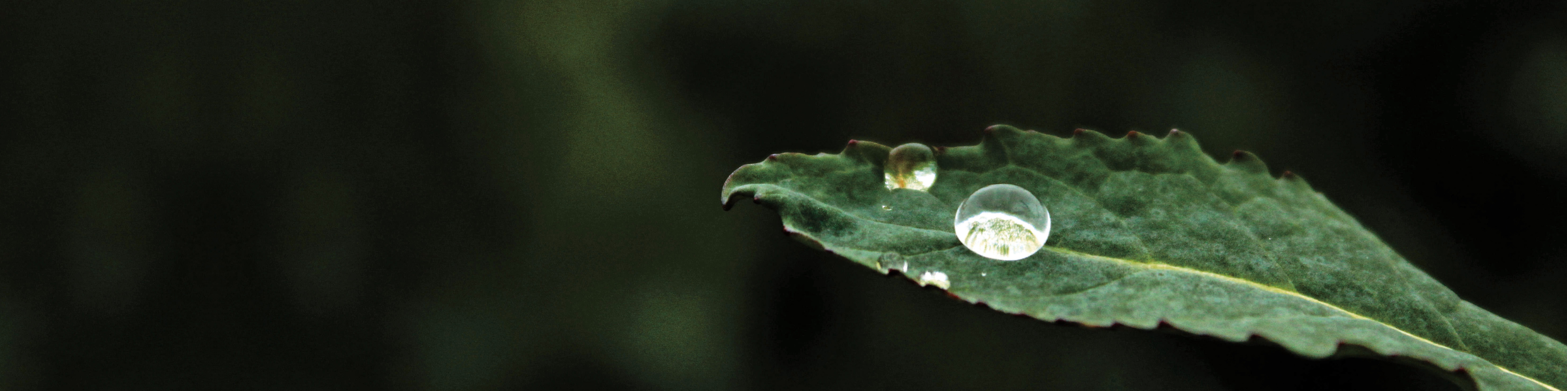 Incredible Inside hero image