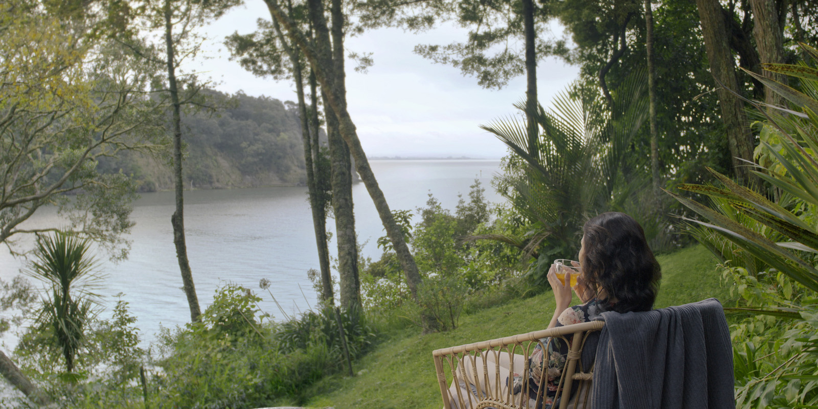 Red Seal Infusions Tea