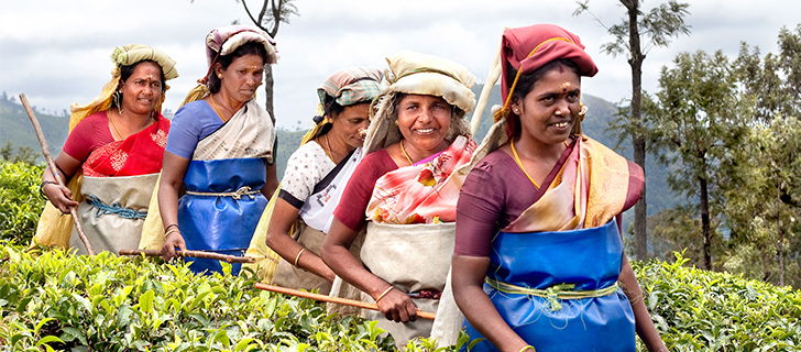 Red Seal Product Sustainability