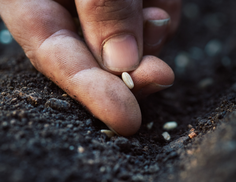 Empowered Wellness hero image