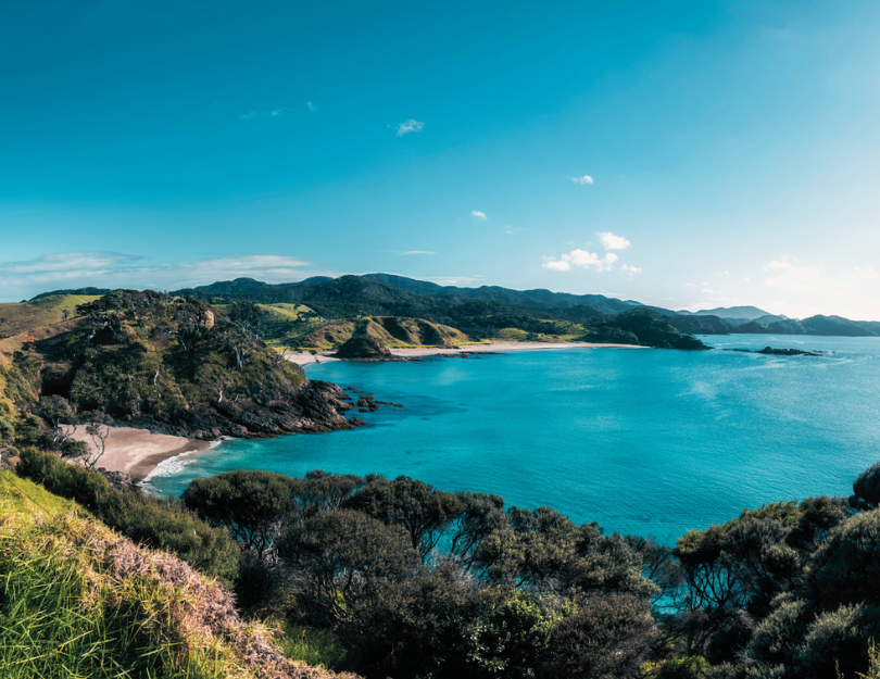 Nature & New Zealand hero image